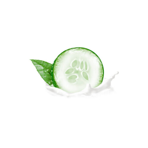 مام صابونی ضد تعریق Go Fresh رایحه خیار داو Dove